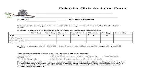 net video calendar audition